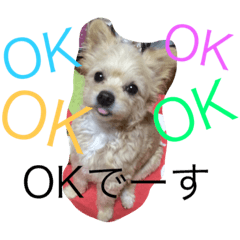 [LINEスタンプ] ららさん。 