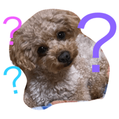[LINEスタンプ] プティのスタンプ fetchpriority=high