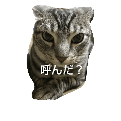 [LINEスタンプ] DTEM
