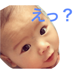 [LINEスタンプ] はるとタンプ