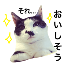 [LINEスタンプ] アレイ さん