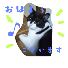 [LINEスタンプ] マリアンヌモモ♪