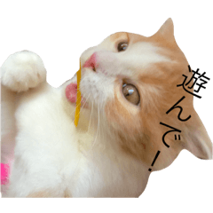 [LINEスタンプ] ちゅけとはる