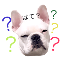 [LINEスタンプ] フレブル大福ちゃんスタンプ①ちょい冬ver.