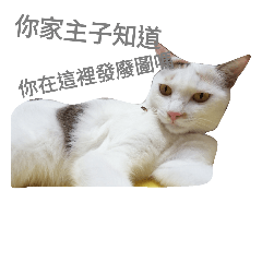 [LINEスタンプ] 初一