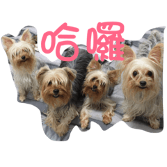 [LINEスタンプ] dog forever