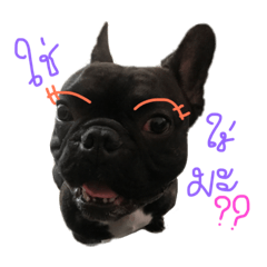 [LINEスタンプ] pangping ＆ kingkong