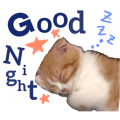 [LINEスタンプ] がじおも☆すたんぷ