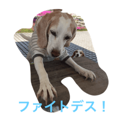 [LINEスタンプ] ラルフ＆あくび