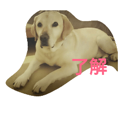 [LINEスタンプ] fallen Angel dog 6