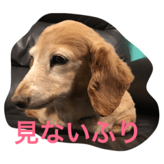 [LINEスタンプ] ほっこりスタンプ3