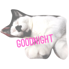 [LINEスタンプ] いとしのしぐれ