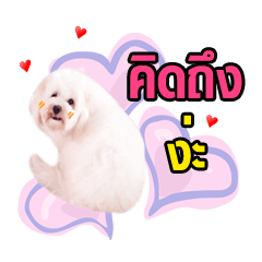 [LINEスタンプ] R-teenoi