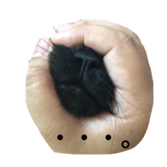 [LINEスタンプ] Black cat Nyankichi