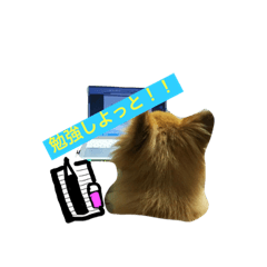 [LINEスタンプ] ポメヨンのラン2