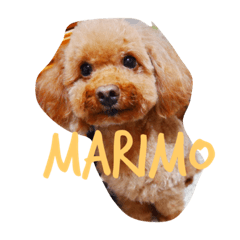 [LINEスタンプ] まりスタンプ