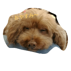 [LINEスタンプ] ティアラたち