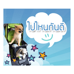 [LINEスタンプ] Dog Pig