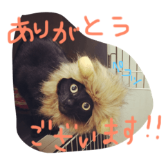 [LINEスタンプ] ぐりちゃん3