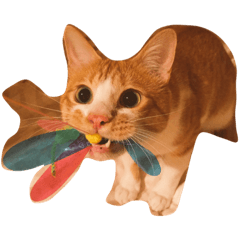 [LINEスタンプ] 猫達〜