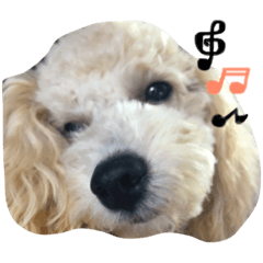 [LINEスタンプ] ルルとララ ⑴