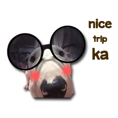 [LINEスタンプ] Meay