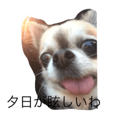 [LINEスタンプ] tiyoko re