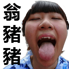 [LINEスタンプ] pig Weng