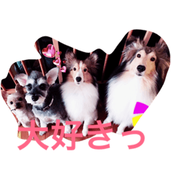 [LINEスタンプ] シェルティーs
