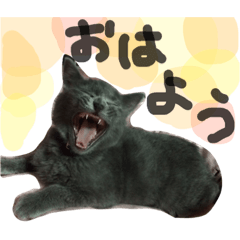 [LINEスタンプ] 江藤家の愉快な仲間たち