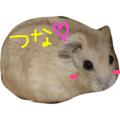 [LINEスタンプ] つなさん