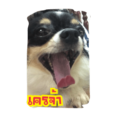 [LINEスタンプ] taohoobox v.1