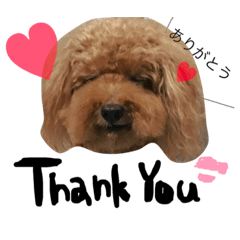 [LINEスタンプ] ろこくん！★