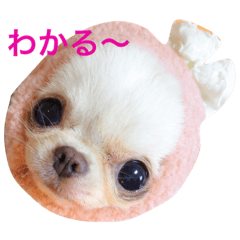 ★びっけ学園★きゅなな組