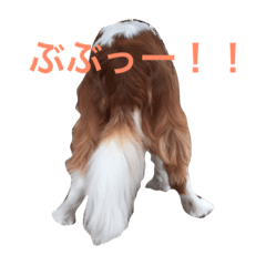 [LINEスタンプ] キャバちゃんスタンプ