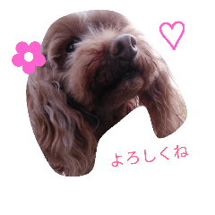 [LINEスタンプ] ティアラとポコとクー3
