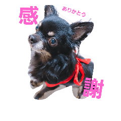 [LINEスタンプ] kotaroow2