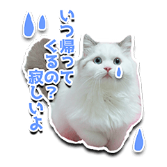 [LINEスタンプ] ほこまる【写真】
