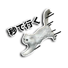 [LINEスタンプ] ほこちゃん