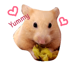 [LINEスタンプ] Hamster A-BU 