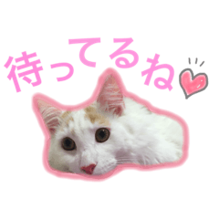 [LINEスタンプ] らぷの1日☆