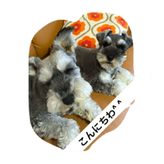 [LINEスタンプ] 犬アンド犬