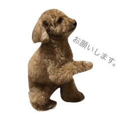 [LINEスタンプ] もこさんすたんぷ 
