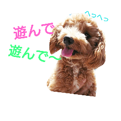 [LINEスタンプ] うちのマー坊ちゃん