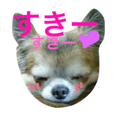 [LINEスタンプ] GIN.com