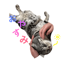[LINEスタンプ] ちゃまさん