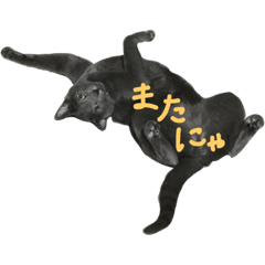 [LINEスタンプ] はんくんの日常