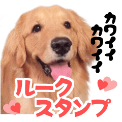 [LINEスタンプ] 可愛い可愛いルークスタンプ