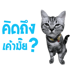 [LINEスタンプ] Call Me Yong Shun