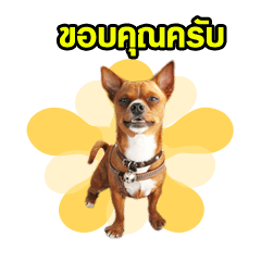 [LINEスタンプ] B.G. ＆ The Gang